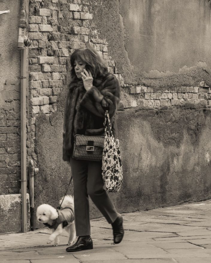 An old Lady strolling with her dog