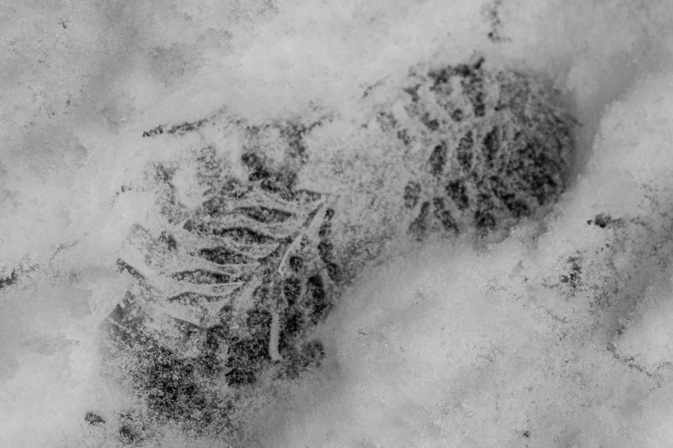 Faded snow footprint