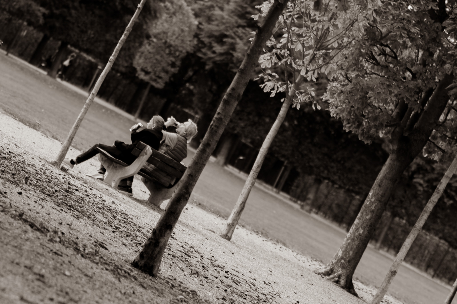 A couple sitting in the park drinking 