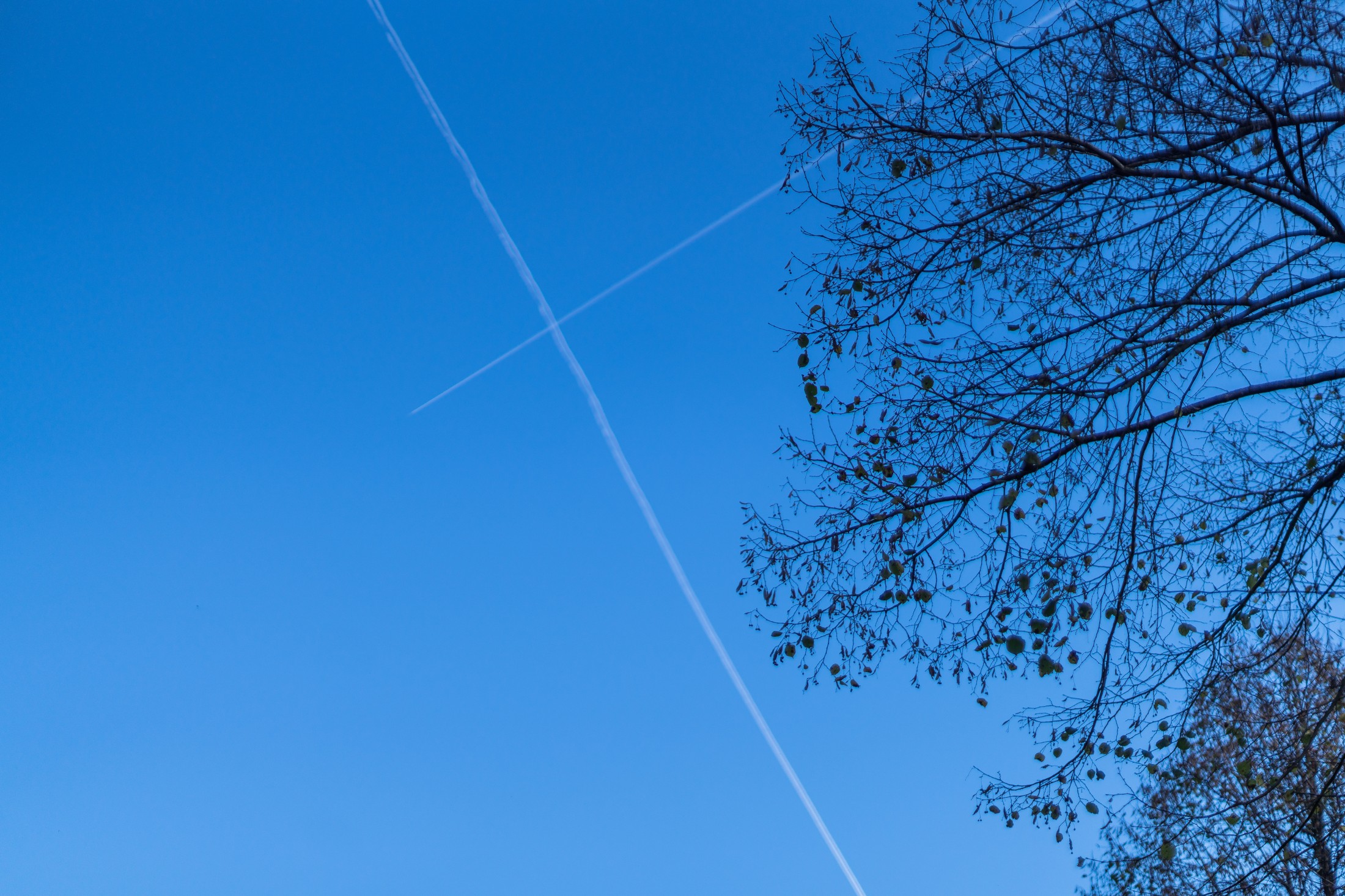 Diary - Drawings in the sky - Planes lines crossing