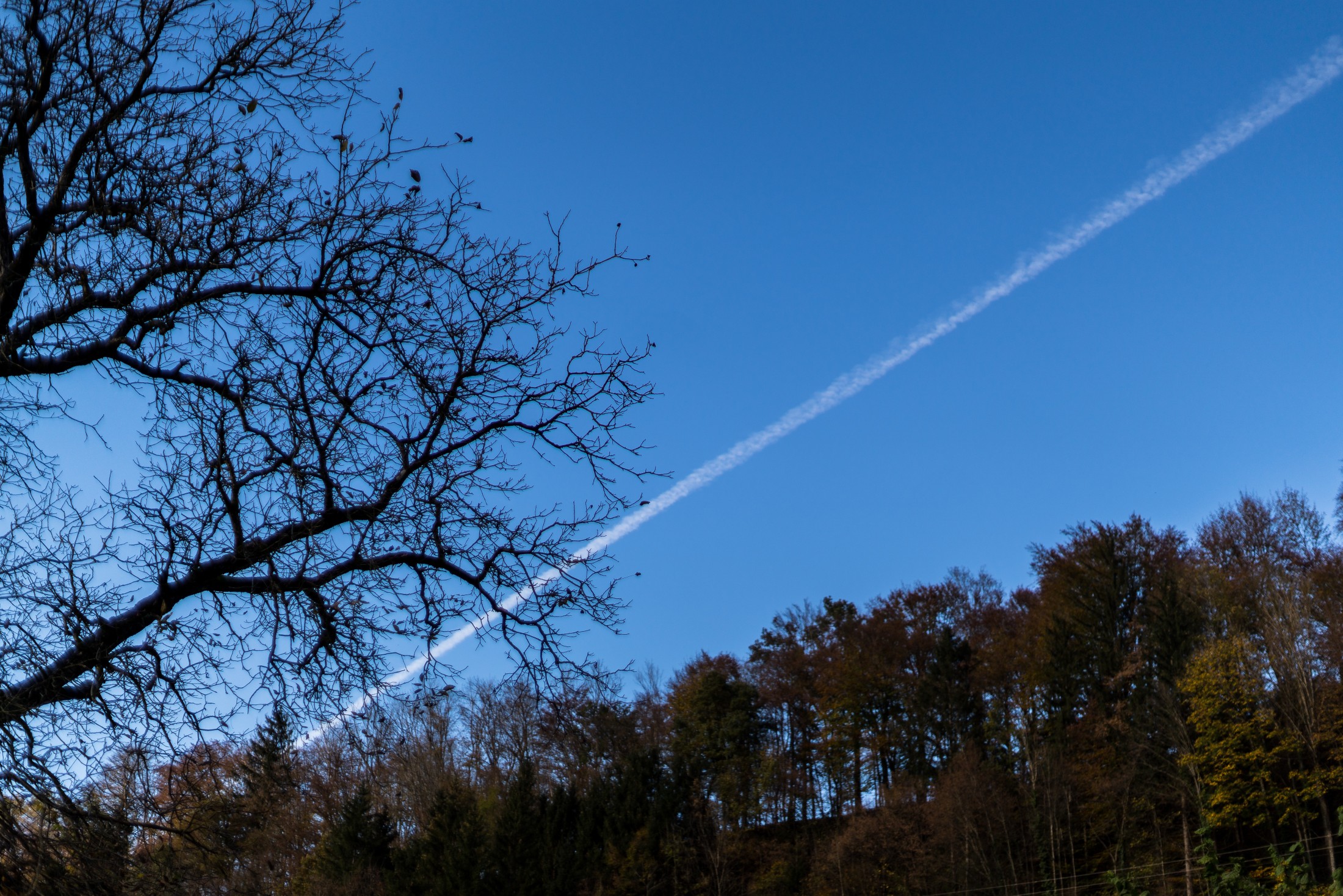 Plane trail crossing the sky