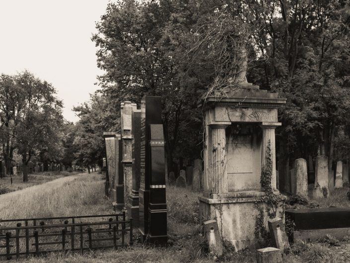 Vienna cemetery