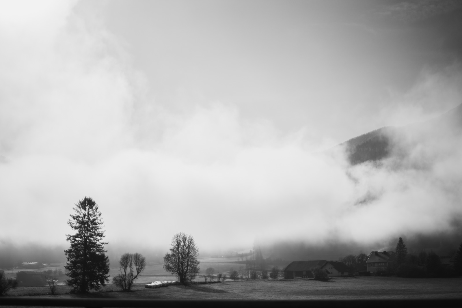Diary- Fogginess - Foggy landscape