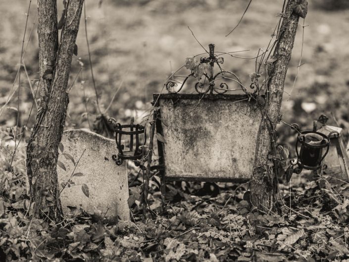 Vienna Cemetery - abandoned grave