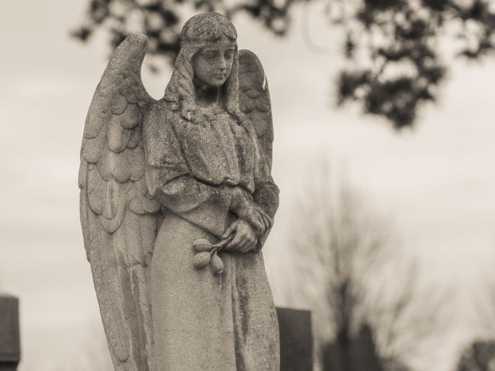 Vienna Cemetery - a female angel