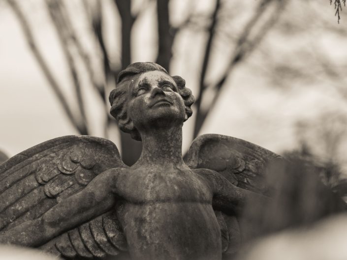 Vienna Cemetery - angel