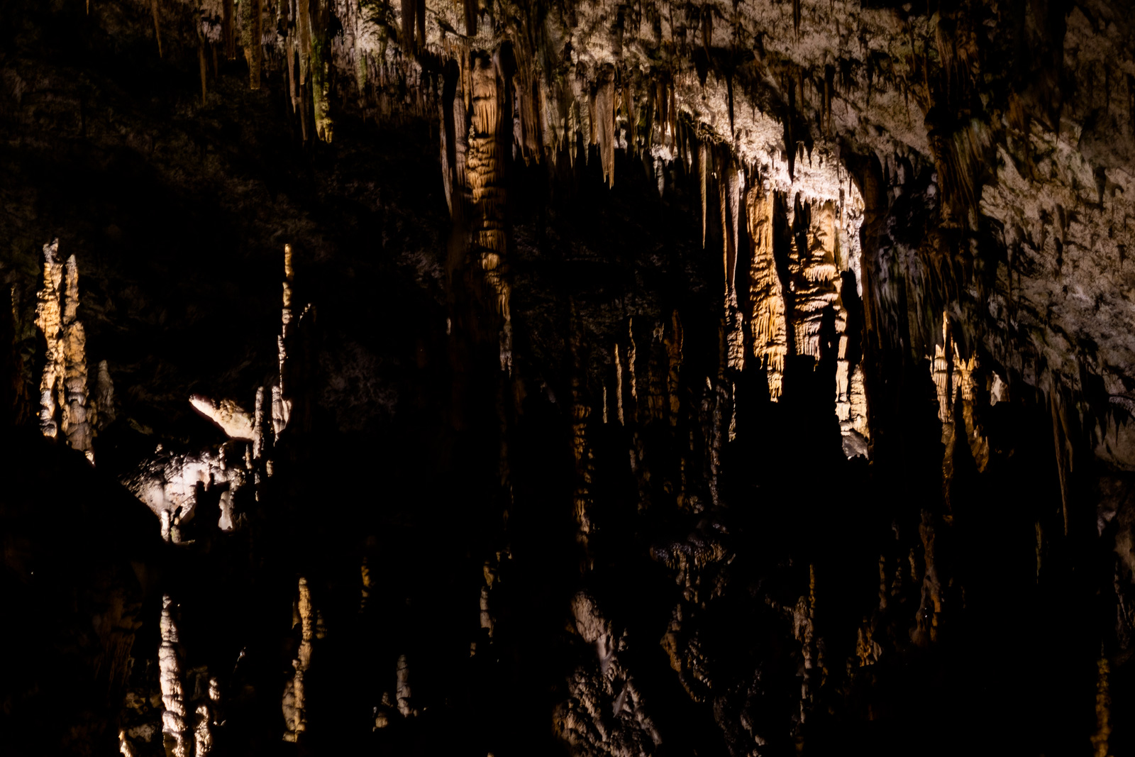 The longest cave - Postojna cave
