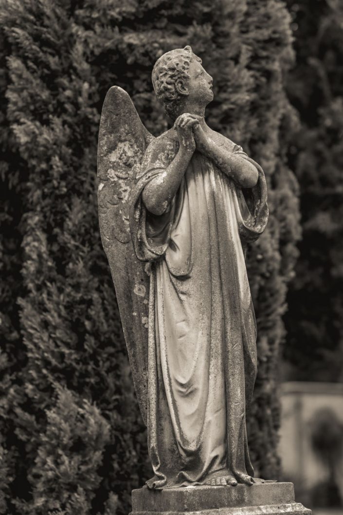 Angel in cemetery