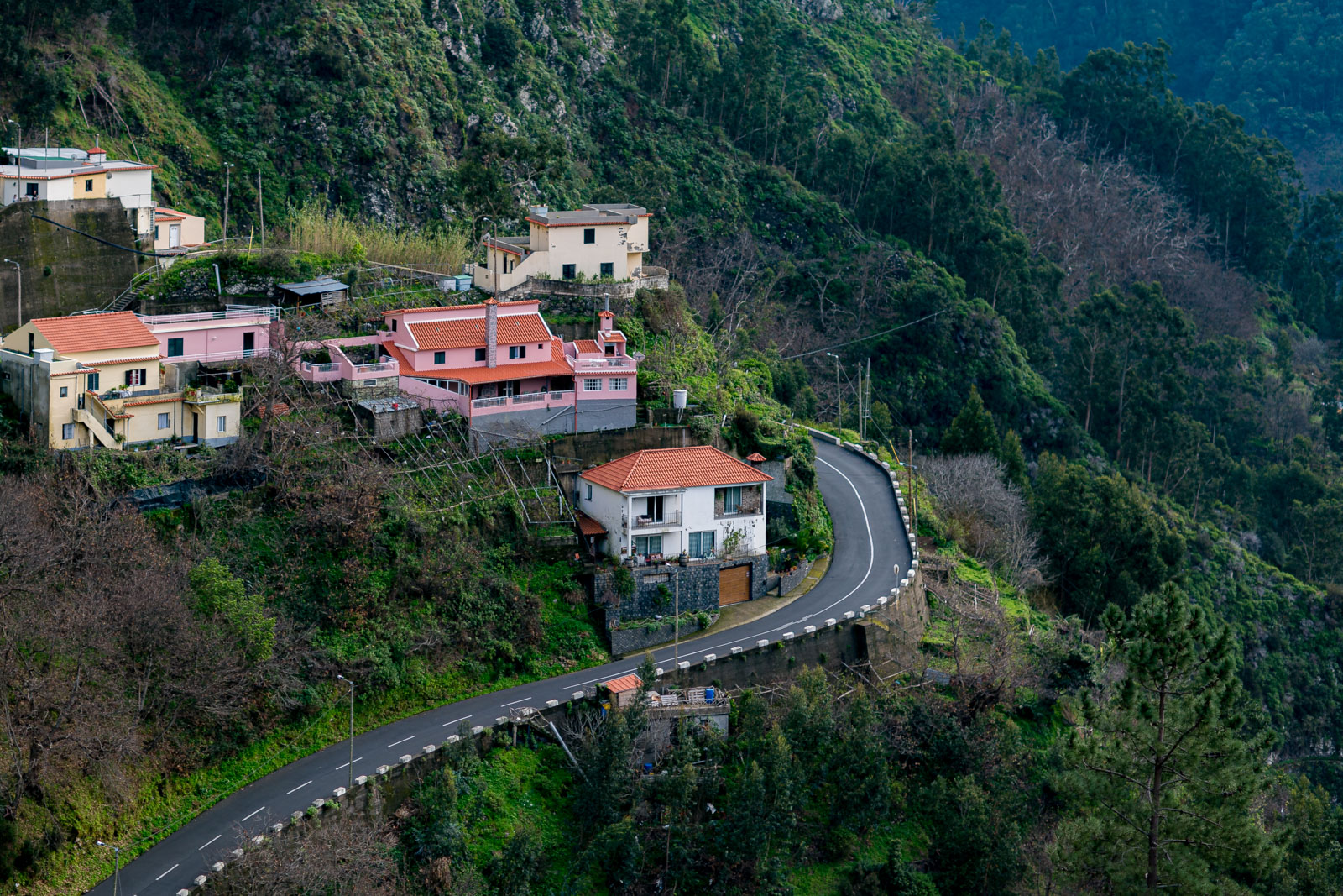  Madeira road