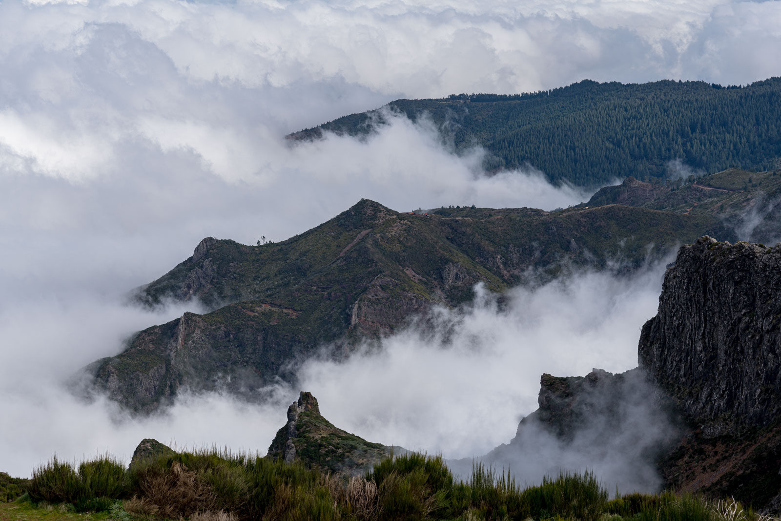 Fog at Pico do Areeiro