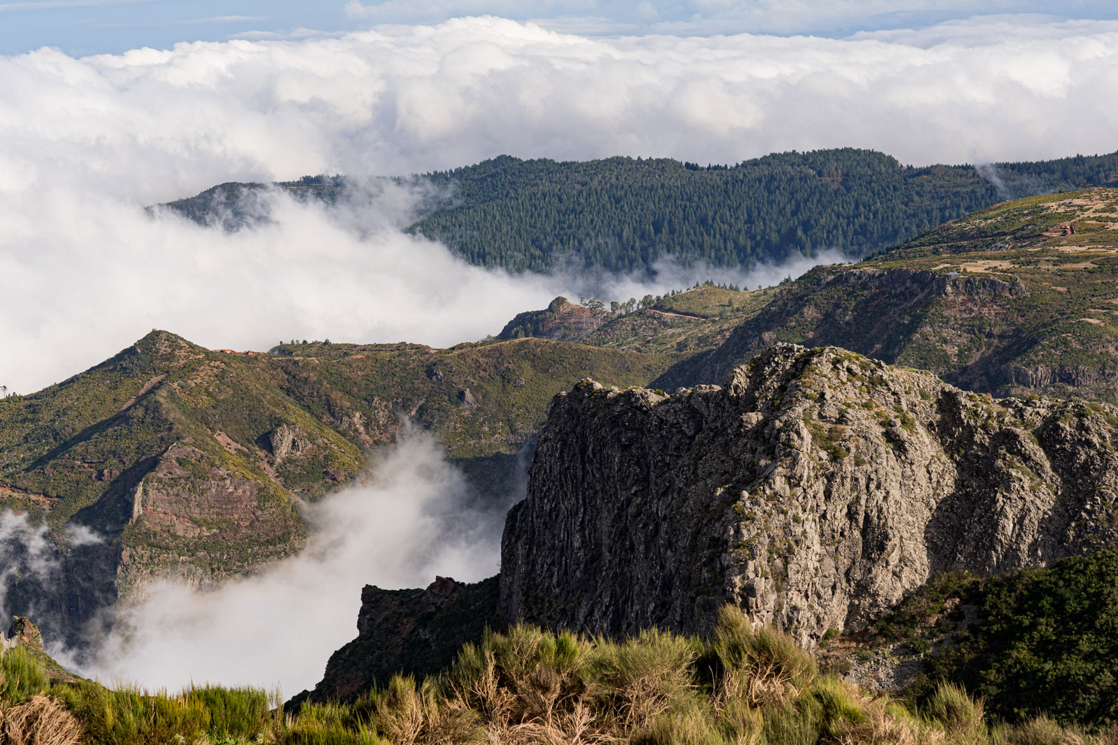 Navigating the mist towards clarity - Fog at Pico do Areeiro, Madeira